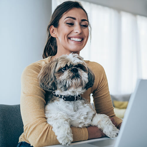 On Computer With Dog