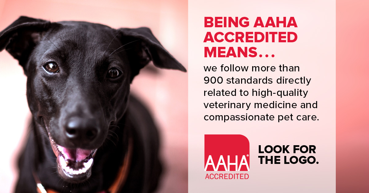 What It Means To Be Aaha Accredited
