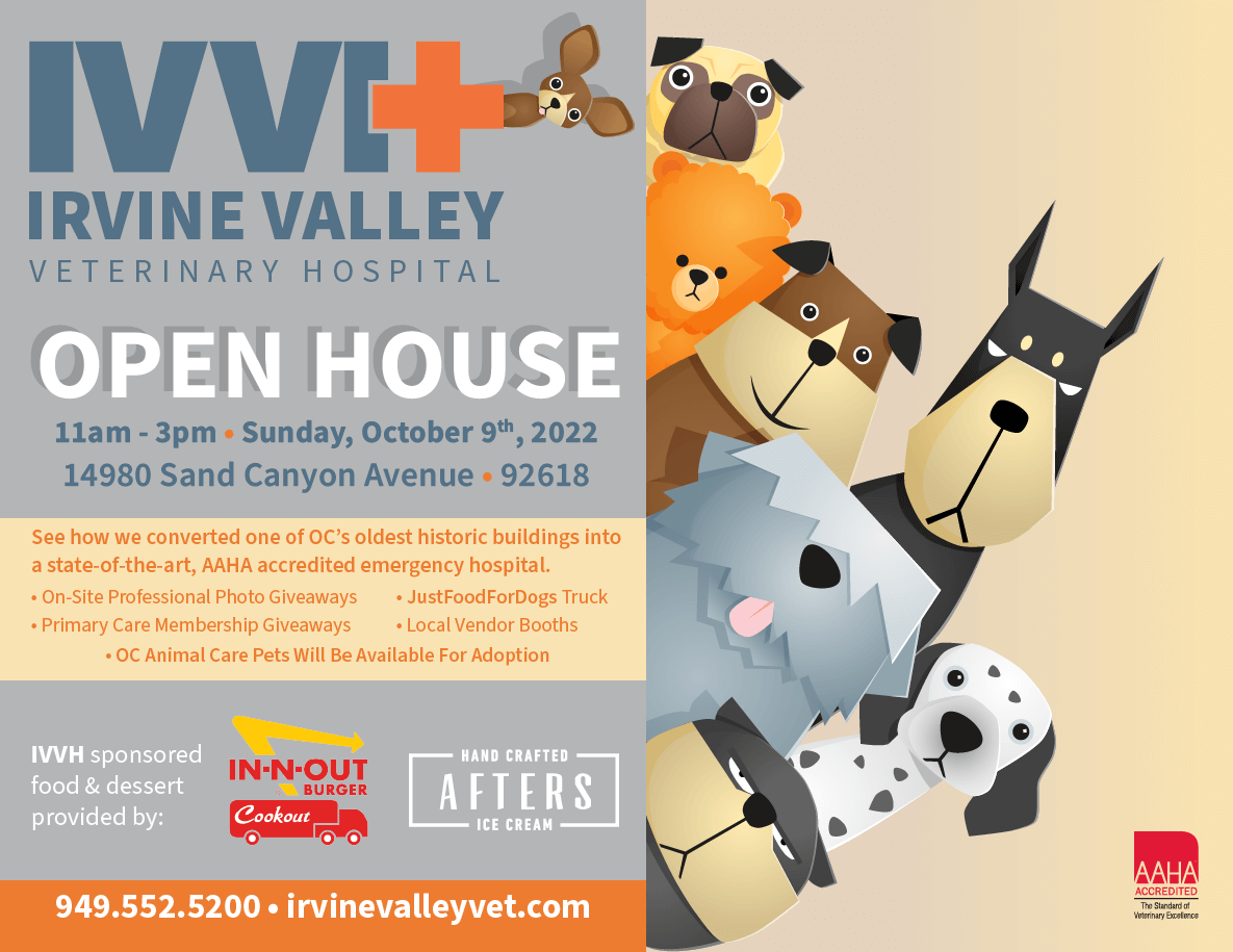 Ivvh Open House
