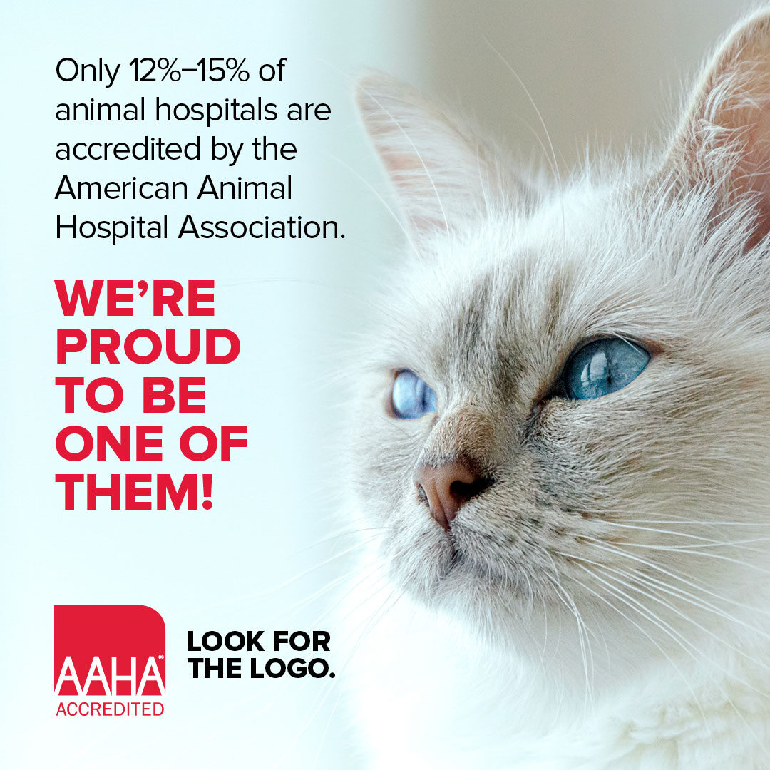 Proud To Be Aaha Accredited